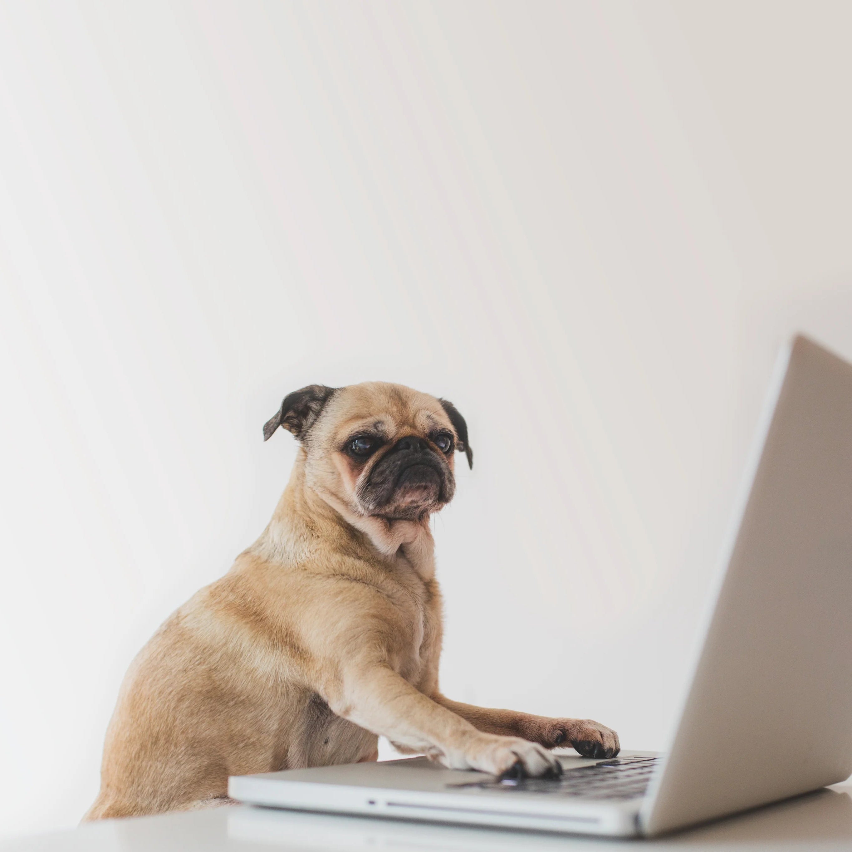 Ihre Fragen Flatrate